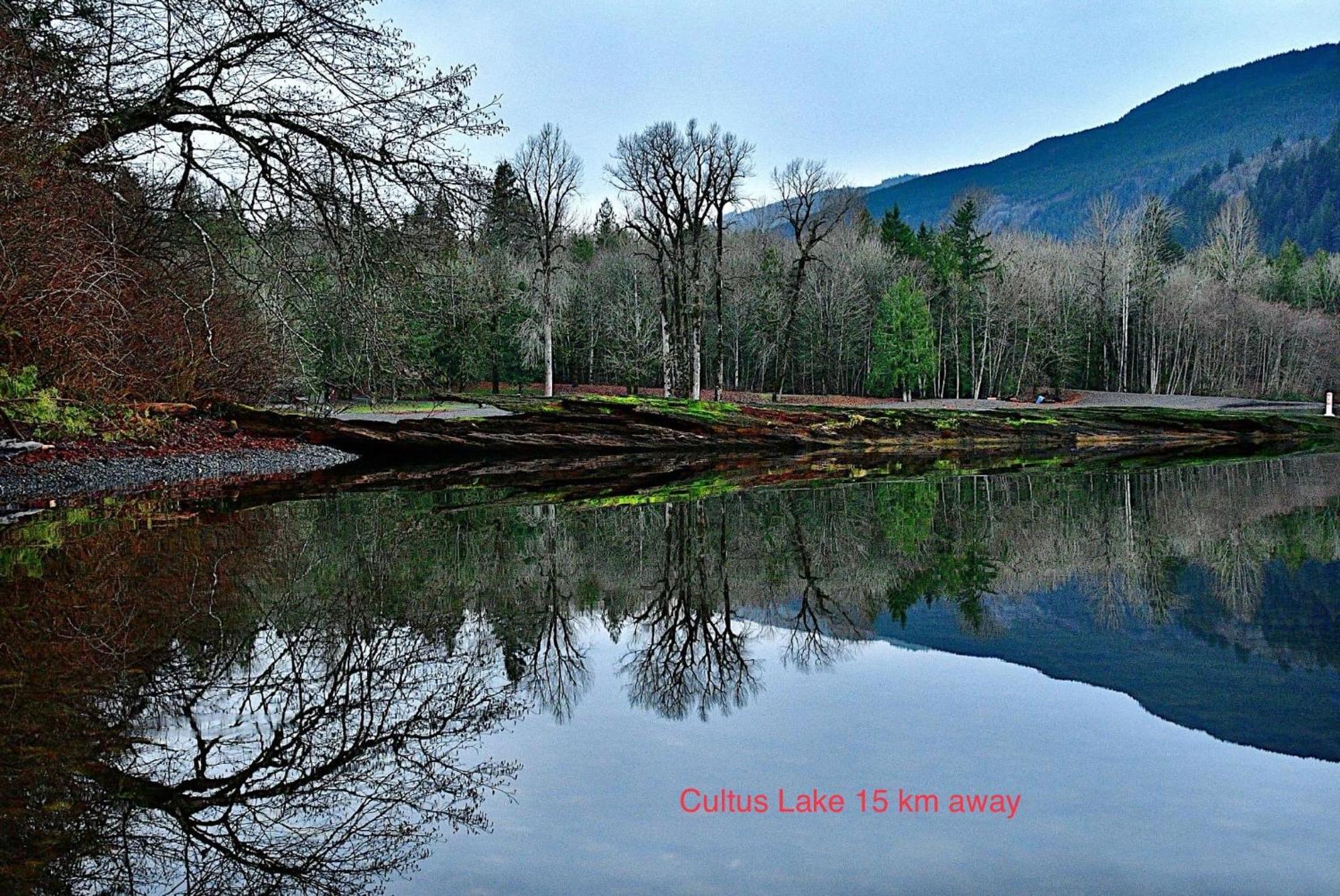 Private 2 Bedrooms Suite Near Hwy 1, Cultus Lake, Heritage Park, Fishing, Coliseum Chilliwack Exterior foto